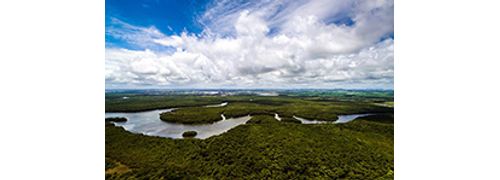 Os Biomas Brasileiros
