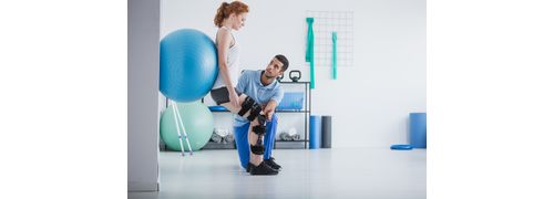 Fisioterapia (Semipresencial)