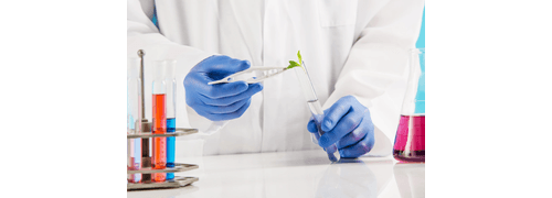 Química - Licenciatura (Semipresencial)